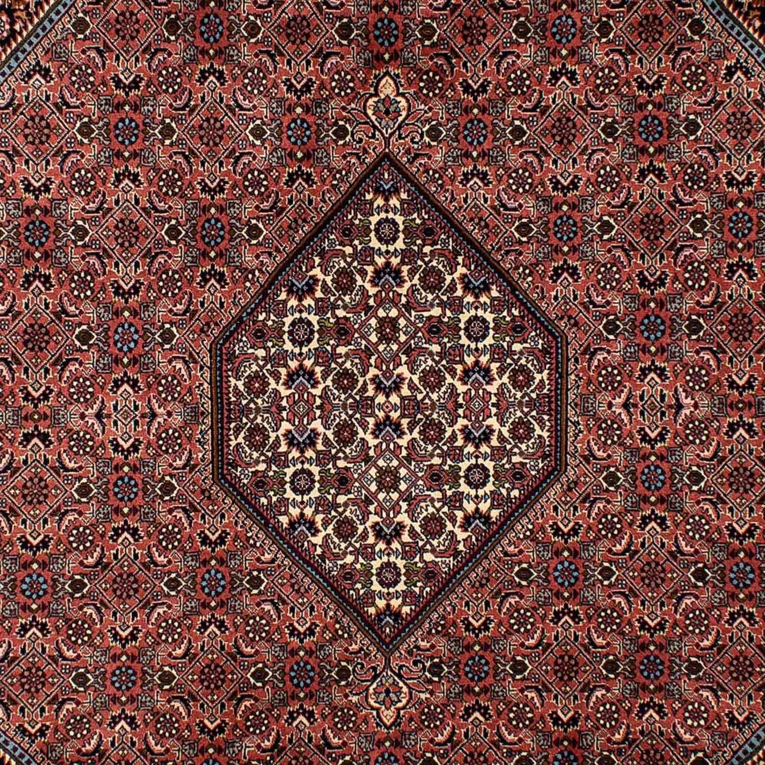 Persisk tæppe - Bijar - 296 x 201 cm - brun