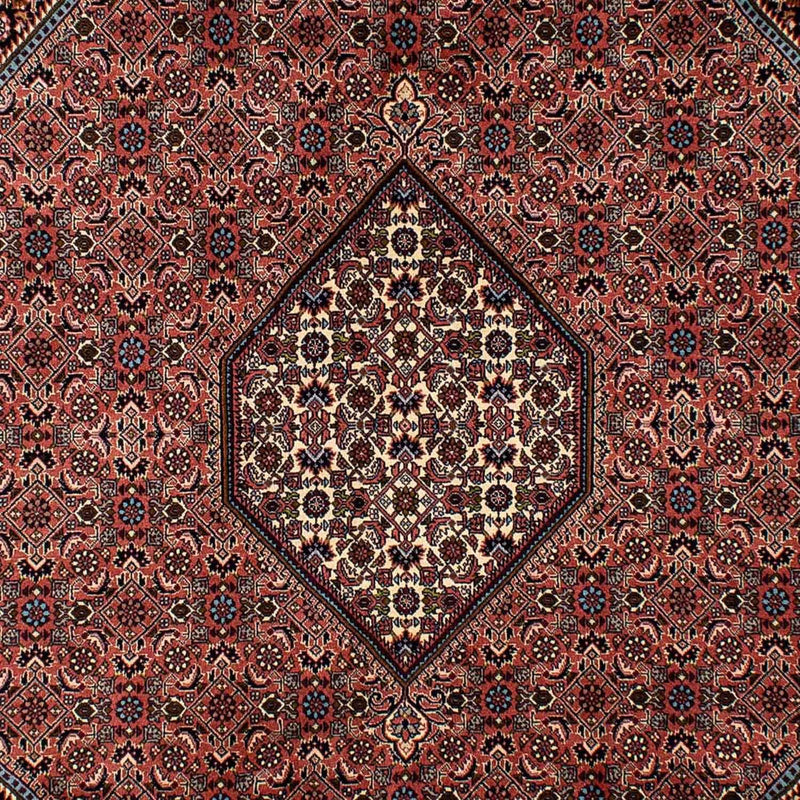 Persisk tæppe - Bijar - 296 x 201 cm - brun