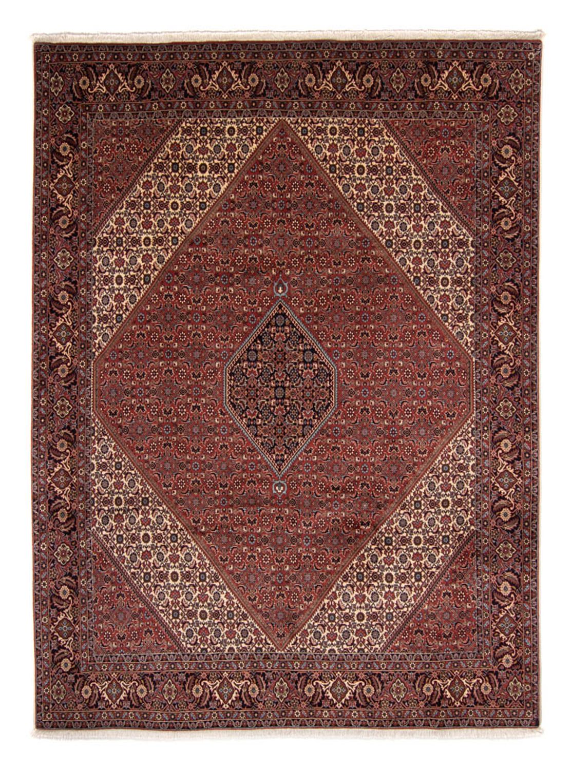 Persisk tæppe - Bijar - 342 x 250 cm - brun