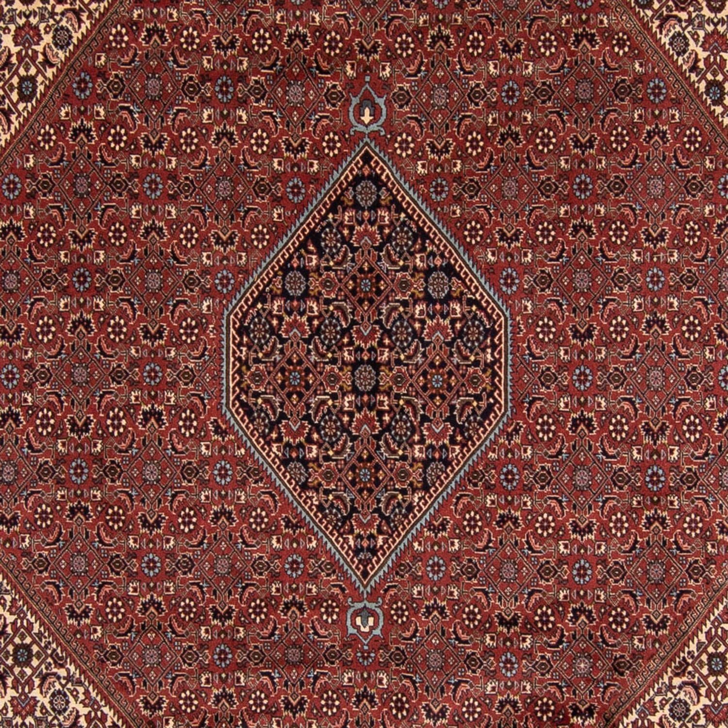 Persisk tæppe - Bijar - 342 x 250 cm - brun