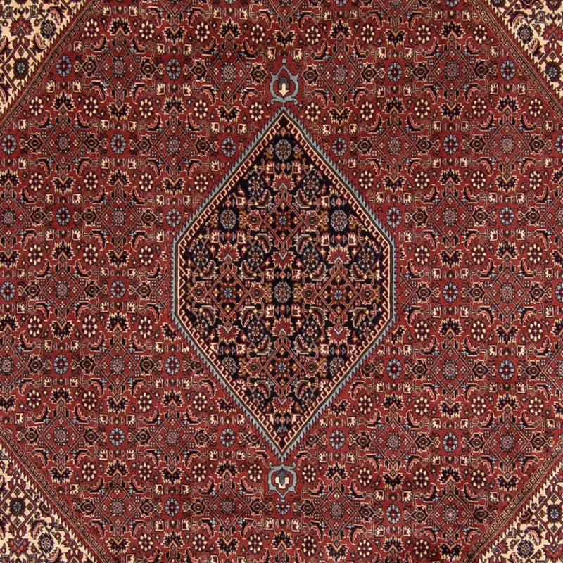 Persisk tæppe - Bijar - 342 x 250 cm - brun