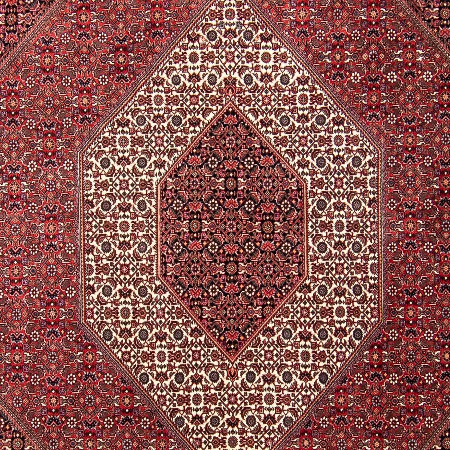 Persisk tæppe - Bijar - 297 x 250 cm - mørkerød