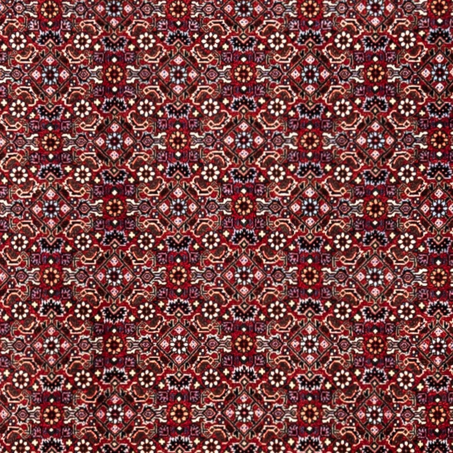 Persisk tæppe - Bijar - Royal - 340 x 252 cm - rød