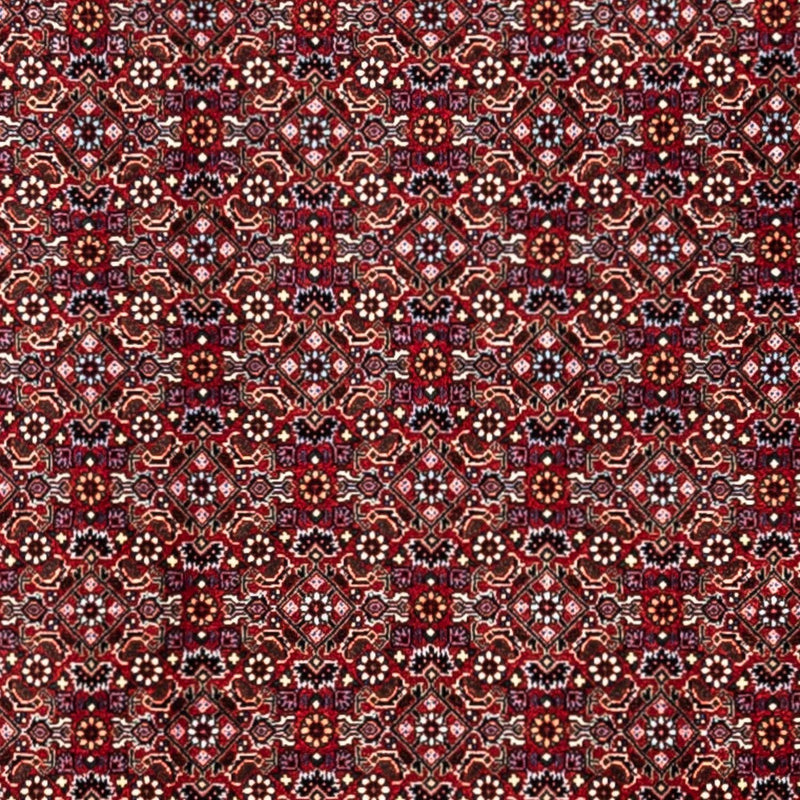 Persisk tæppe - Bijar - Royal - 340 x 252 cm - rød