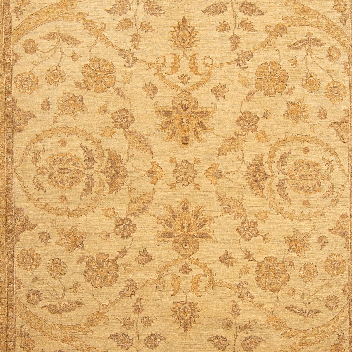 Ziegler Carpet - 364 x 280 cm - lys brun