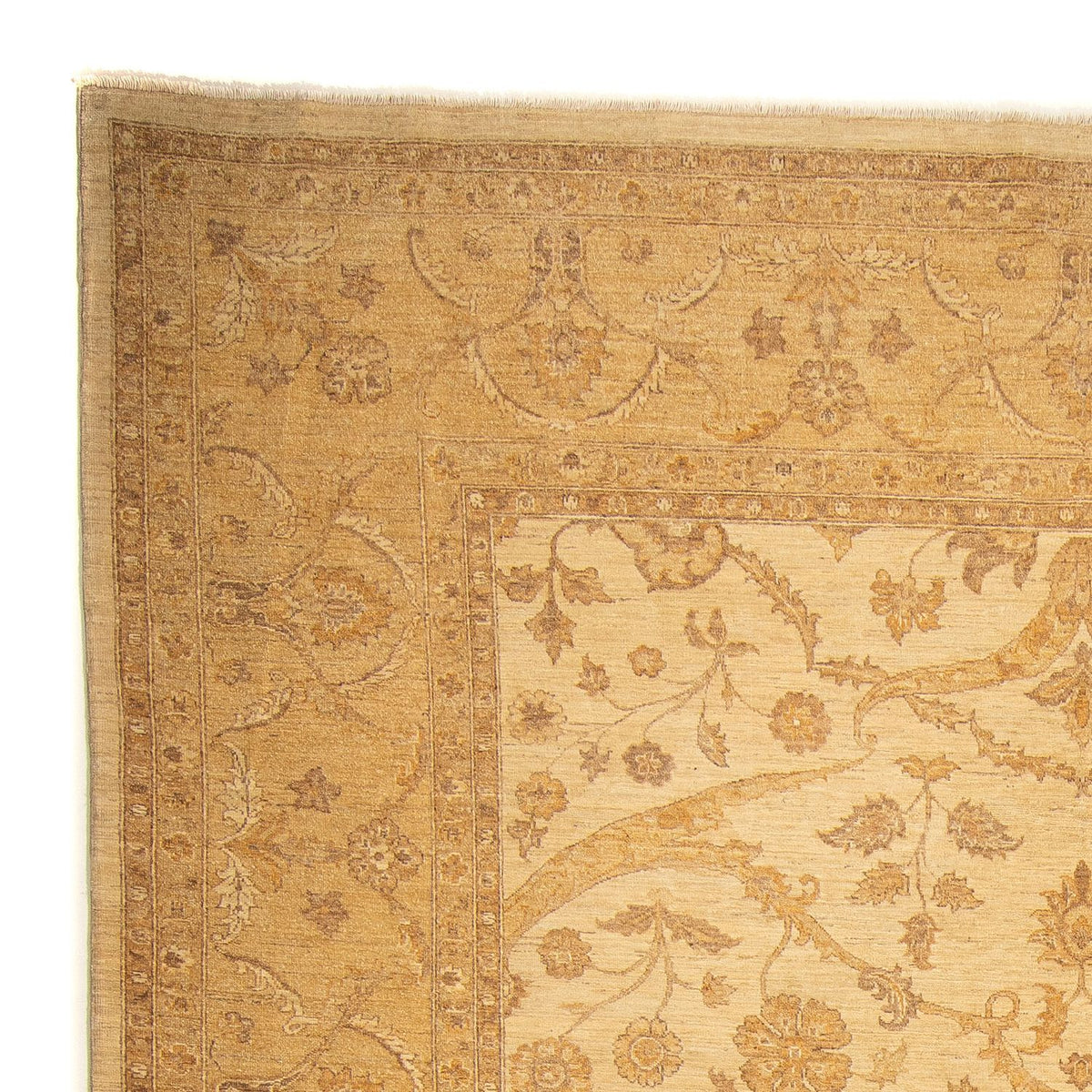 Ziegler Carpet - 364 x 280 cm - lys brun