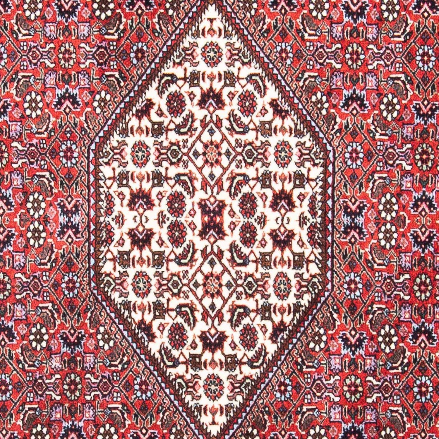 Persisk tæppe - Bijar - 169 x 106 cm - lysrød