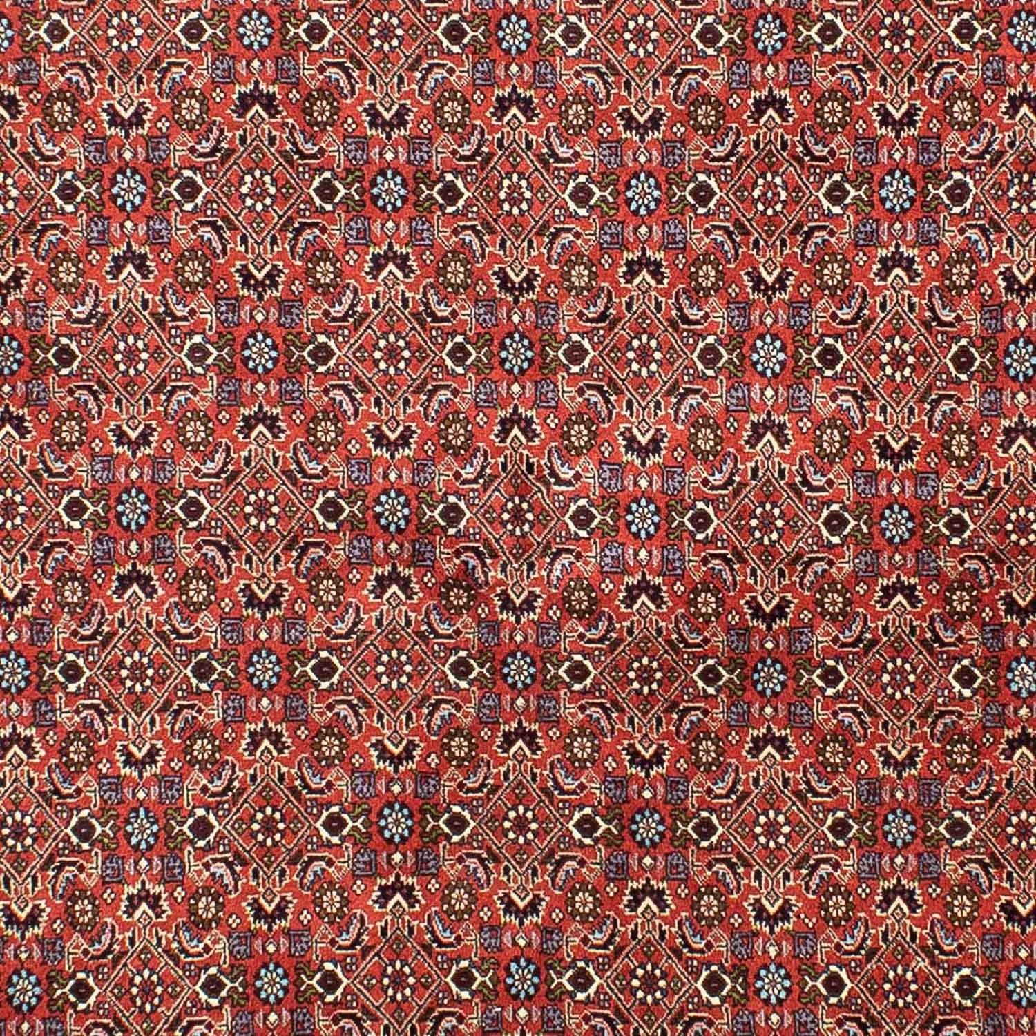 Persisk tæppe - Bijar - 288 x 202 cm - lysrød