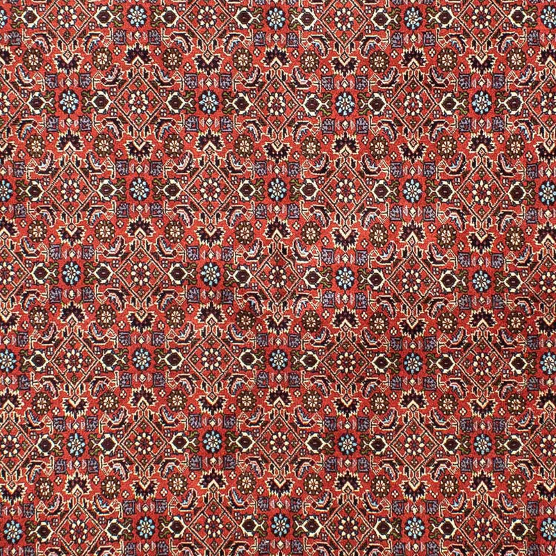Persisk tæppe - Bijar - 288 x 202 cm - lysrød