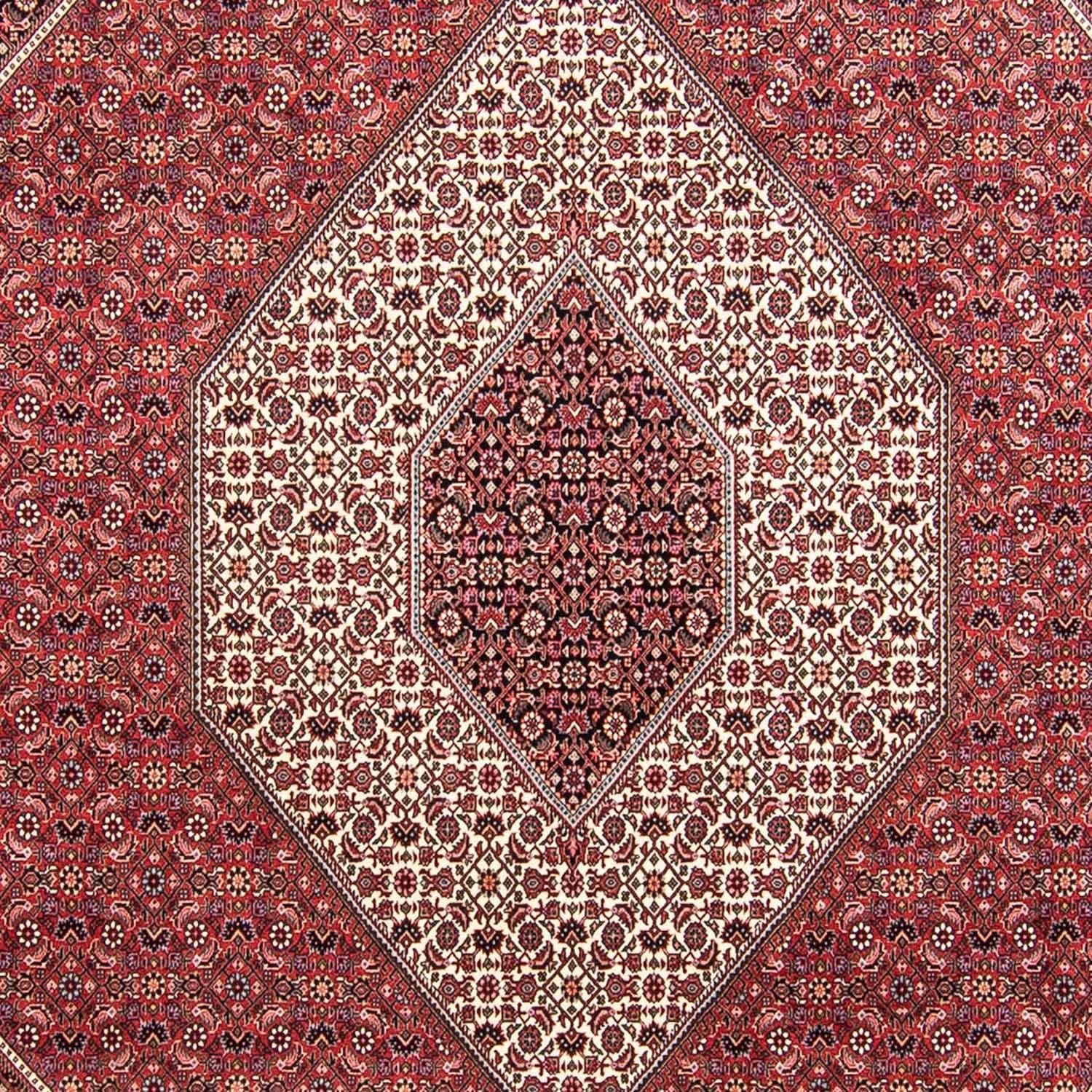Persisk tæppe - Bijar - 295 x 253 cm - mørkerød