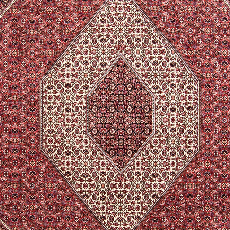 Persisk tæppe - Bijar - 295 x 253 cm - mørkerød