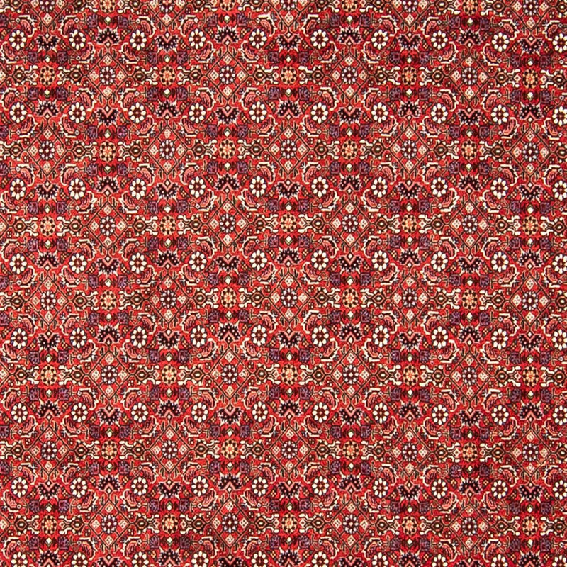 Persisk tæppe - Bijar - 290 x 250 cm - rød
