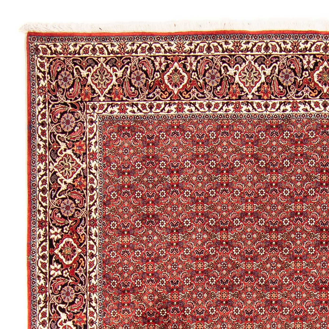 Bidjar Tæppe 290x250cm - Persisk tæppe