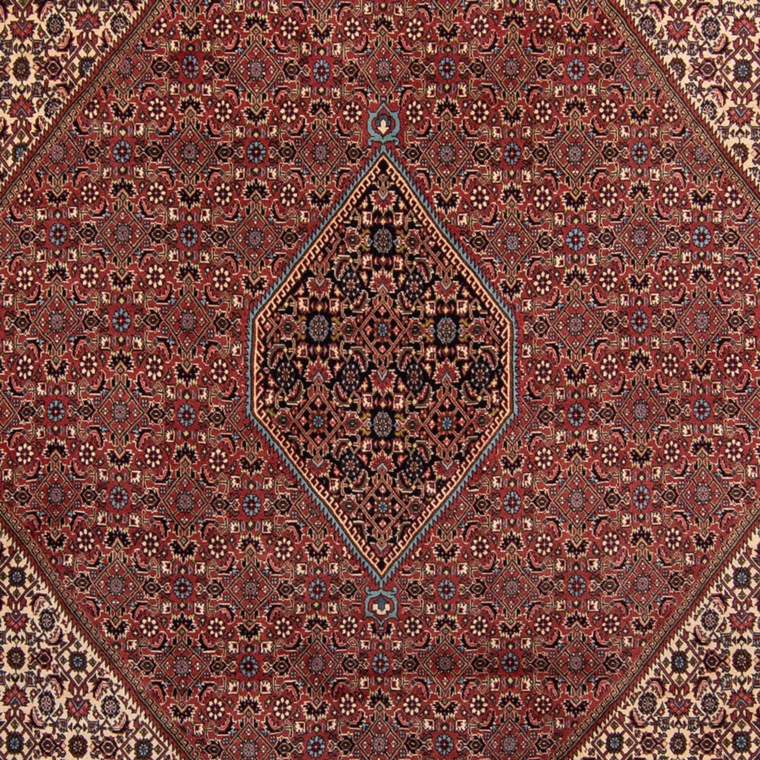 Persisk tæppe - Bijar - 350 x 248 cm - brun