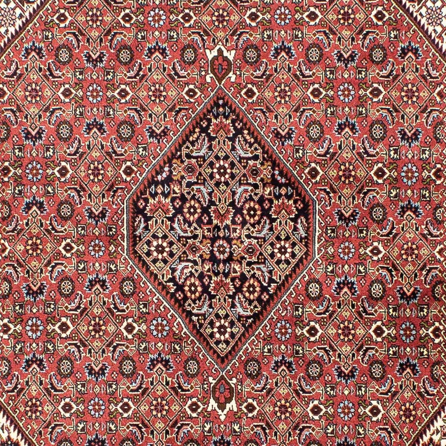 Persisk tæppe - Bijar - 250 x 173 cm - lysrød