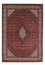 Persisk tæppe - Bijar - 232 x 168 cm - mørkerød