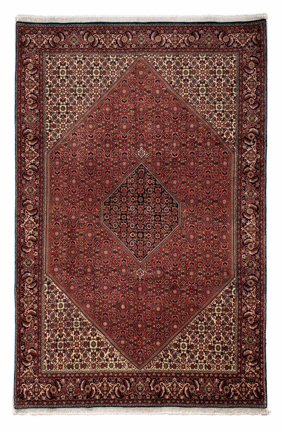 Persisk tæppe - Bijar - 300 x 202 cm - brun