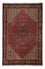 Persisk tæppe - Bijar - 300 x 202 cm - brun