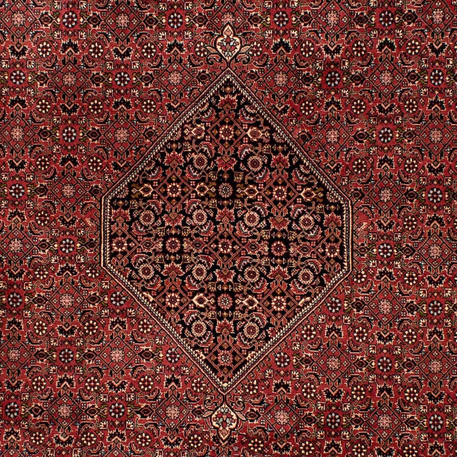 Persisk tæppe - Bijar - 300 x 202 cm - brun