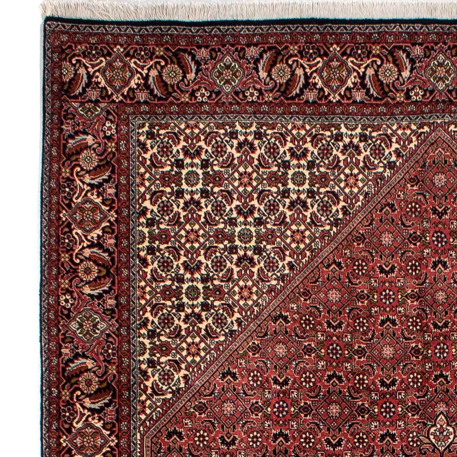 Persisk tæppe - Bijar - 300 x 202 cm - brun