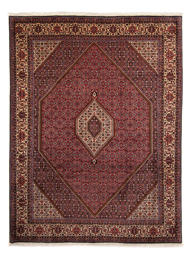 Persisk tæppe - Bijar - 338 x 250 cm - brun