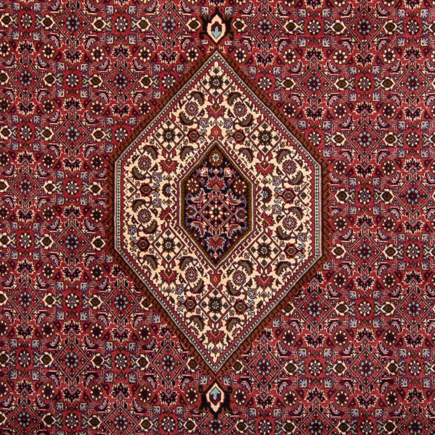 Persisk tæppe - Bijar - 338 x 250 cm - brun