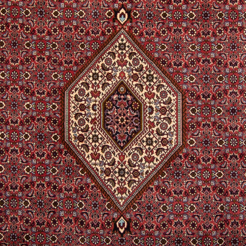 Persisk tæppe - Bijar - 338 x 250 cm - brun
