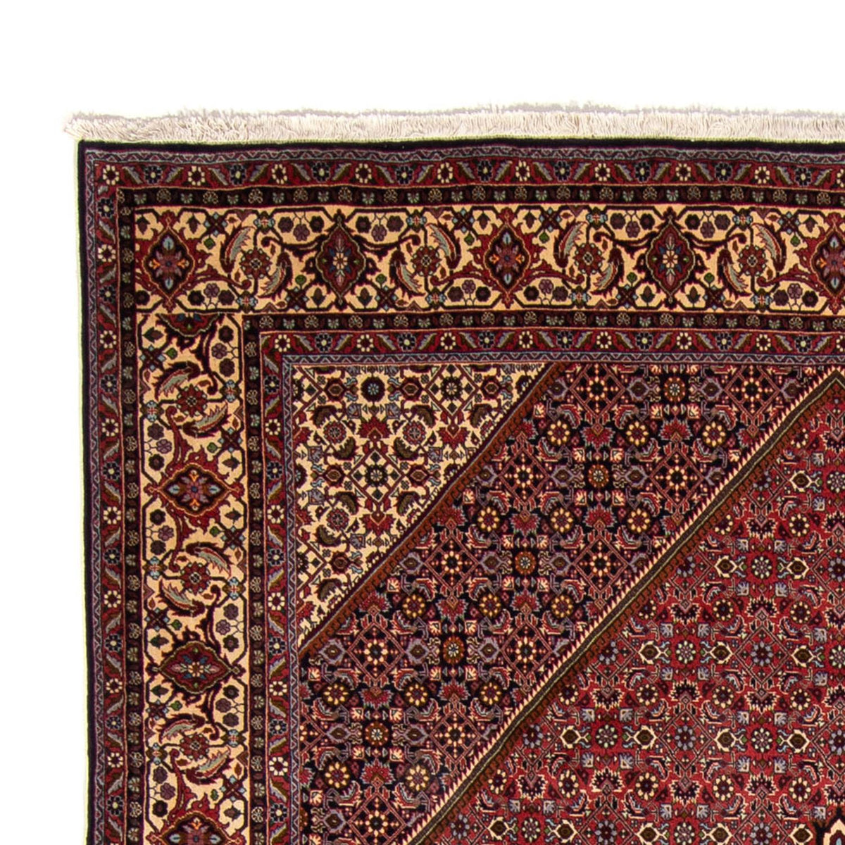 Bidjar Tæppe 250x338cm - Persisk tæppe