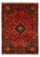 Persisk tæppe - Nomadisk - 288 x 203 cm - mørkerød