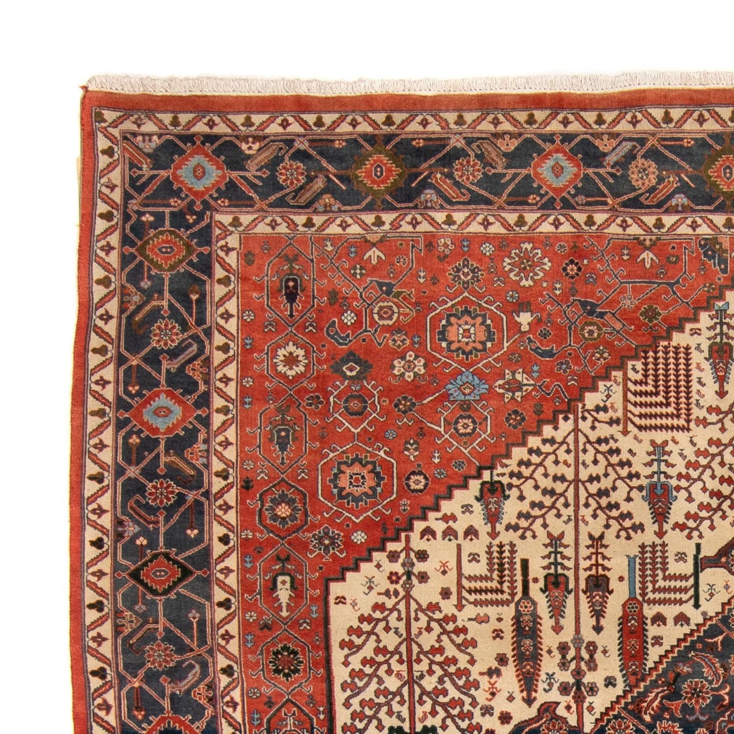 Gabbeh-tæppe - Kashkuli Persisk - 258 x 230 cm - rust