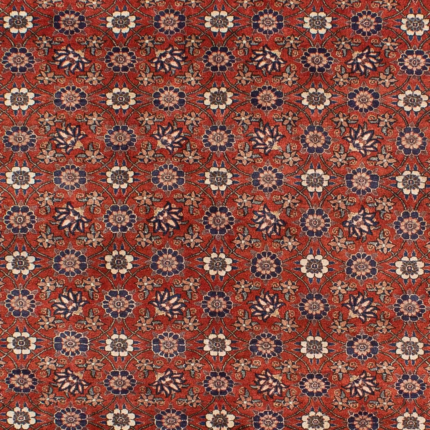 Persisk tæppe - Nomadisk - 301 x 223 cm - rød