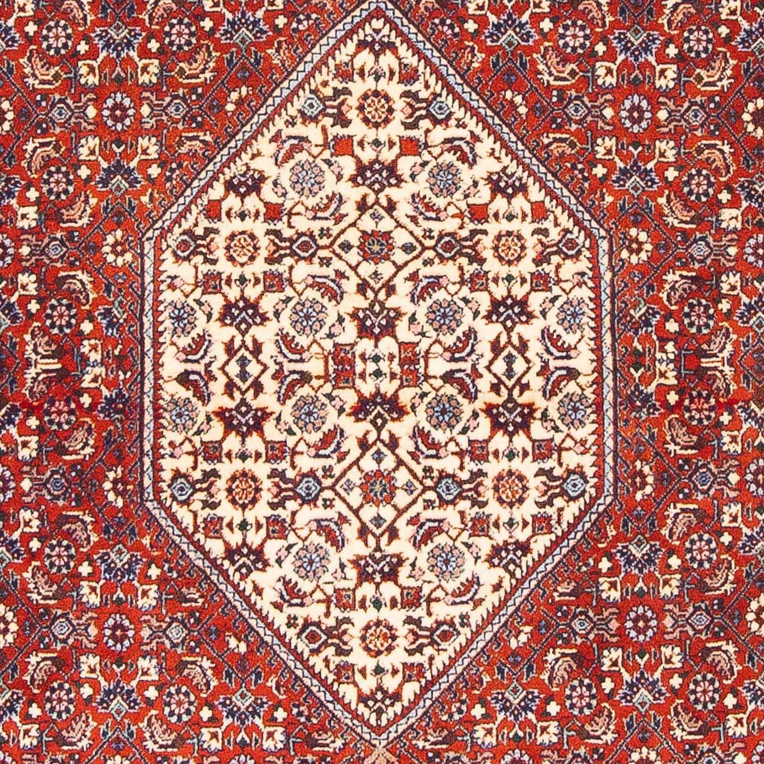 Persisk tæppe - Bijar - 168 x 110 cm - rød