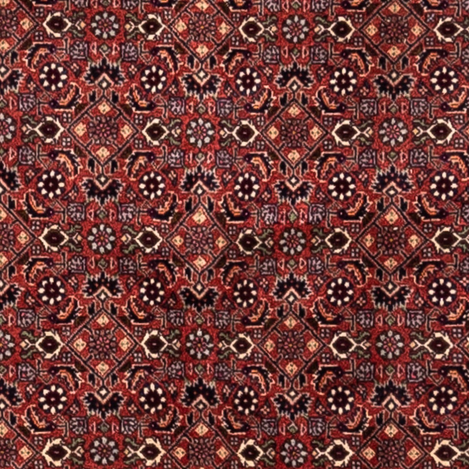 Persisk tæppe - Bijar - Royal - 293 x 200 cm - rød