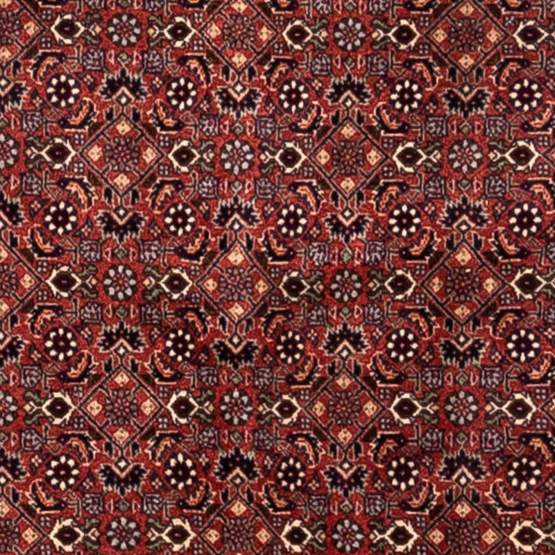 Persisk tæppe - Bijar - Royal - 293 x 200 cm - rød