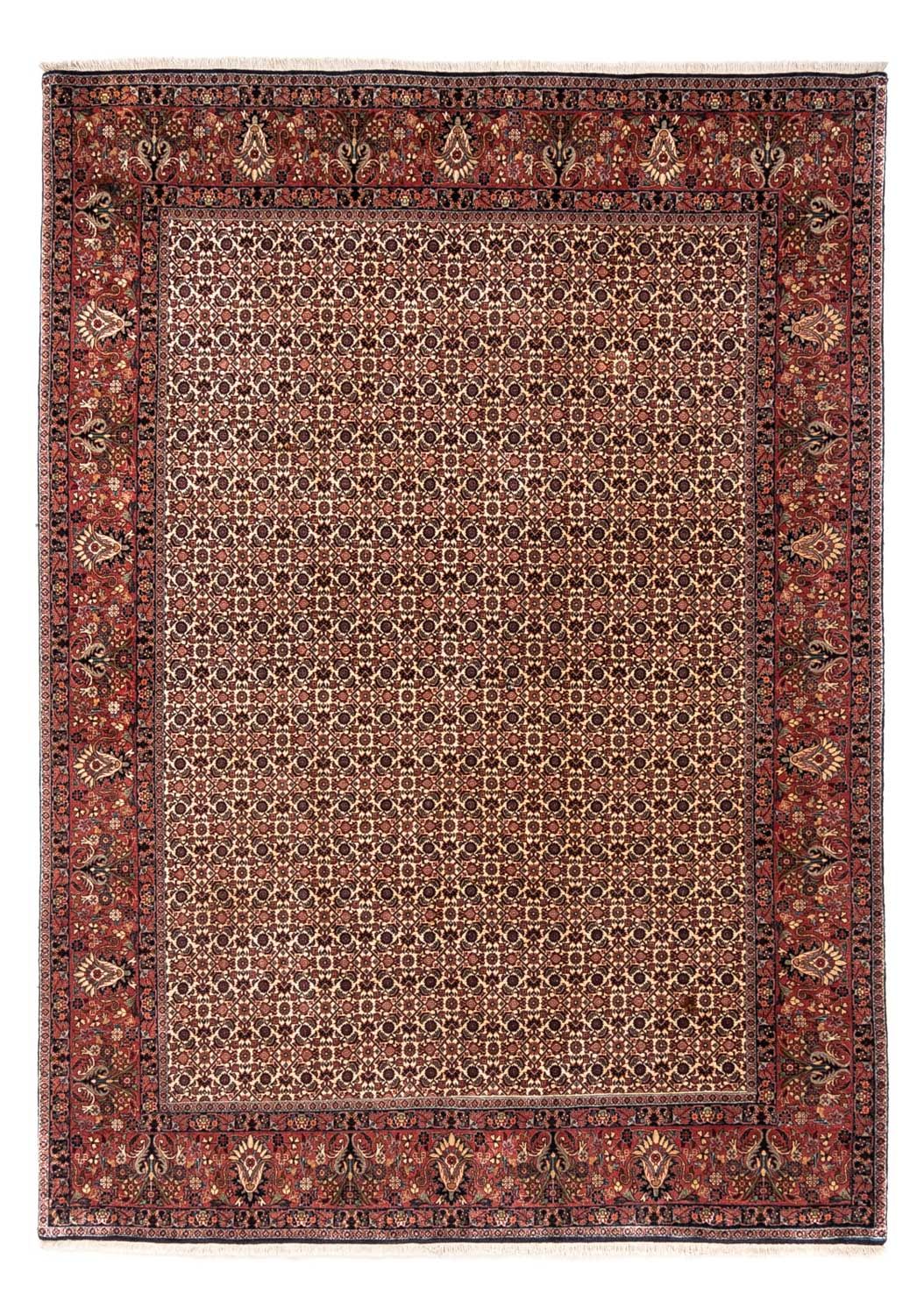 Persisk tæppe - Bijar - Royal - 287 x 208 cm - beige