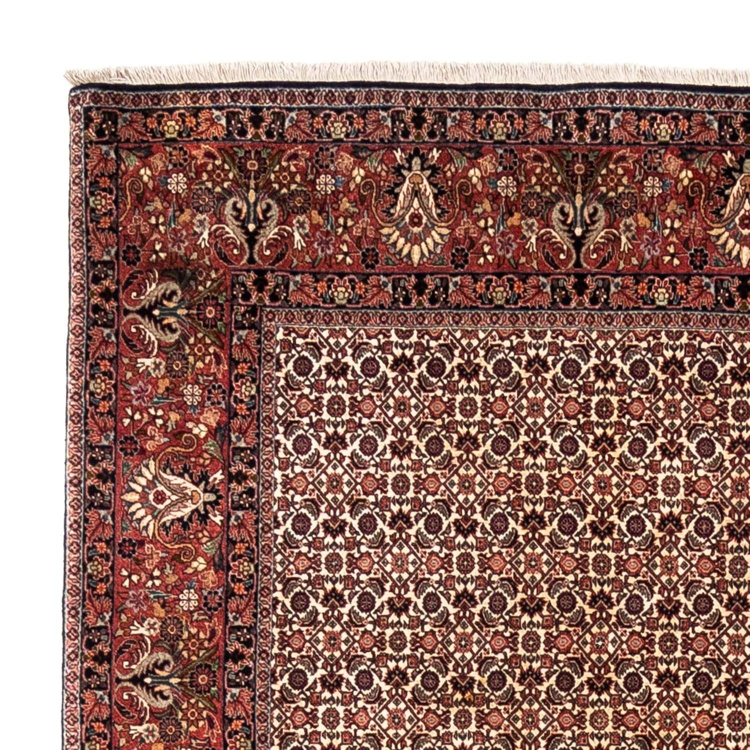 Persisk tæppe - Bijar - Royal - 287 x 208 cm - beige