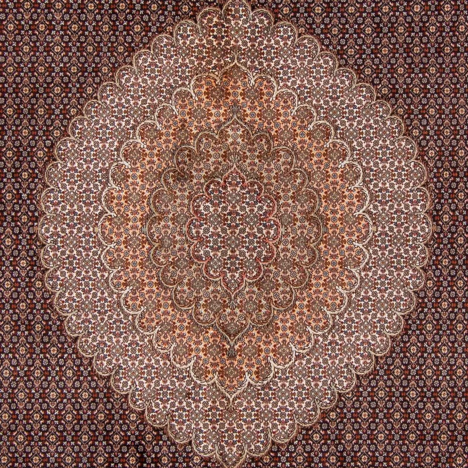 Persisk tæppe - Tabriz - 350 x 250 cm - lys brun