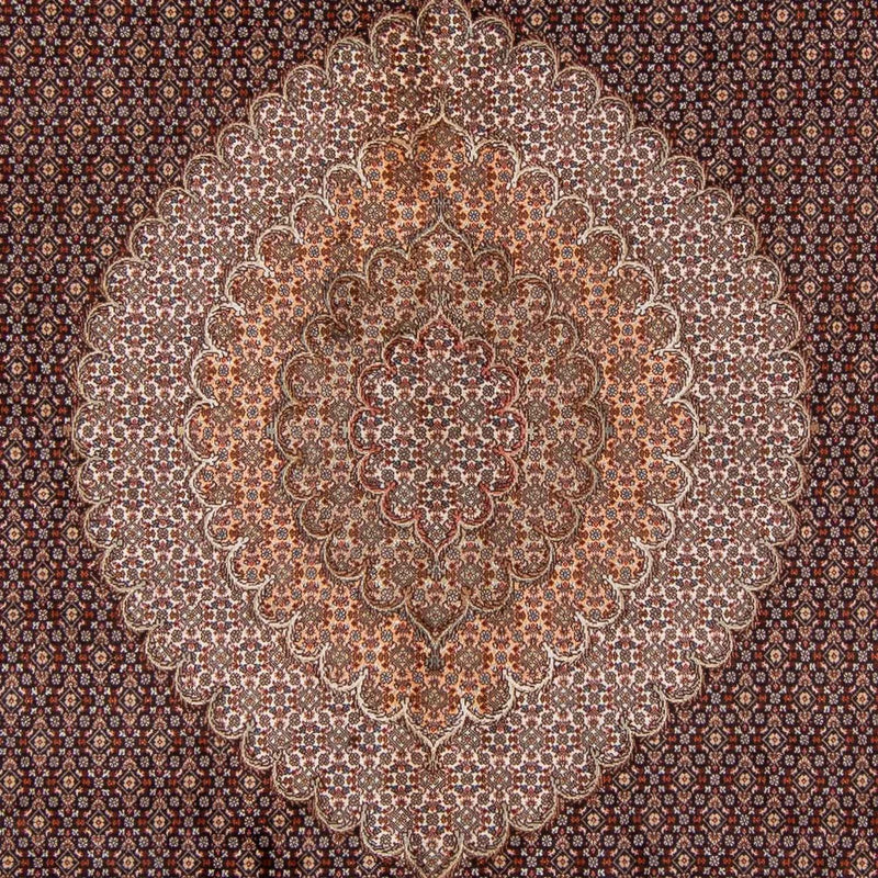 Persisk tæppe - Tabriz - 350 x 250 cm - lys brun