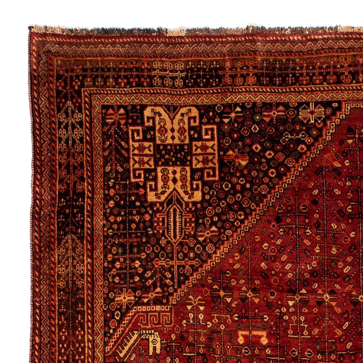 Persisk tæppe - Nomadisk - 288 x 210 cm - mørkerød