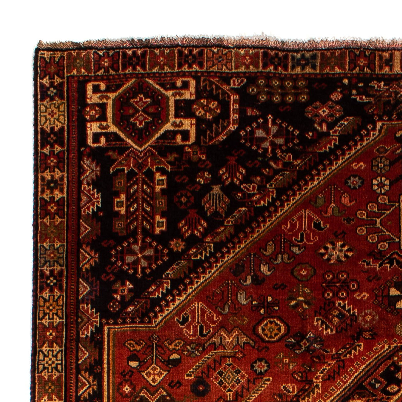 Shiraz Tæppe 290x185cm - Persisk tæppe