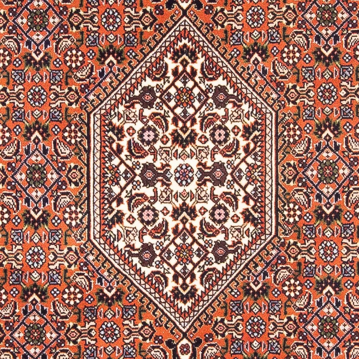 Persisk tæppe - Bijar - 169 x 105 cm - laks