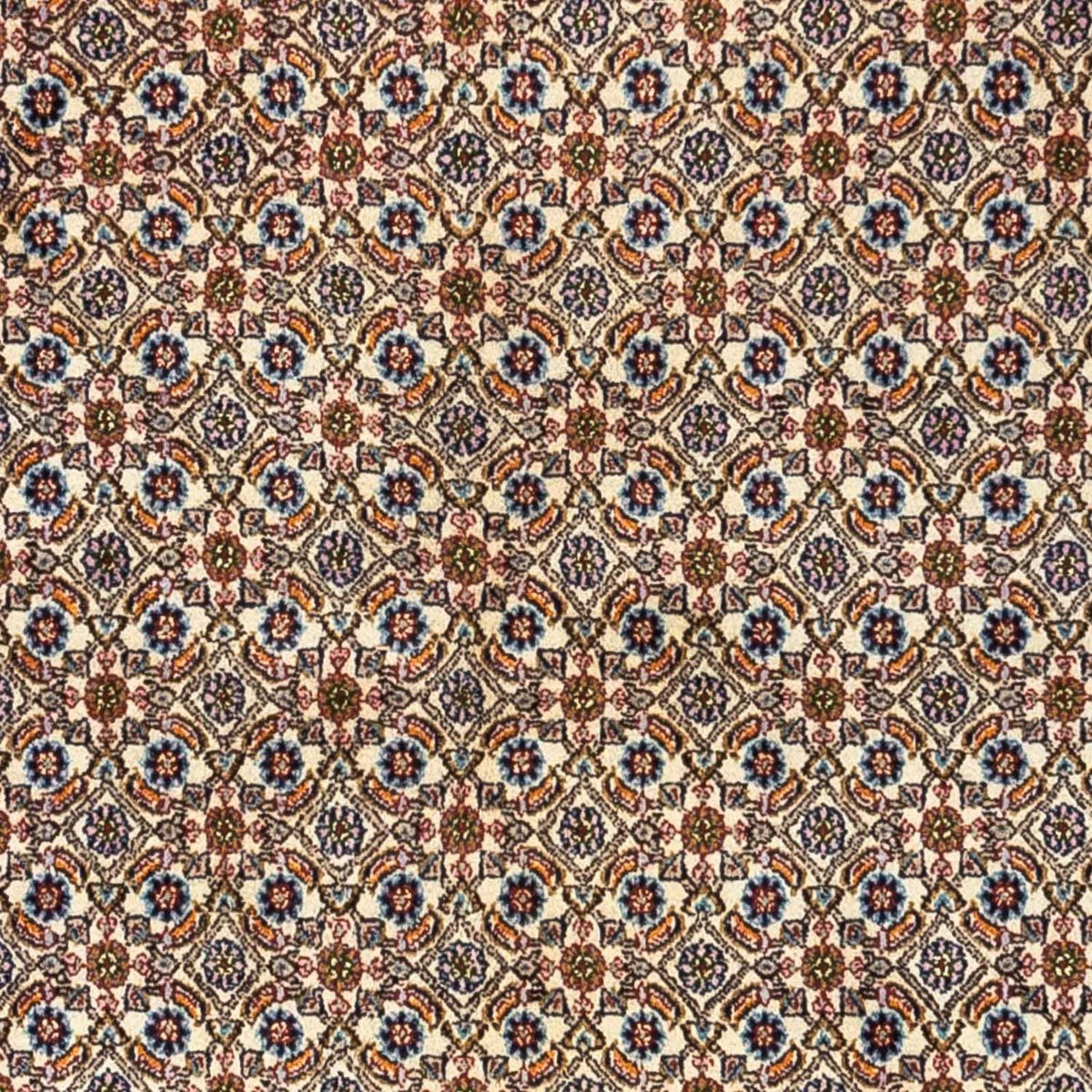Persisk tæppe - Classic - 238 x 167 cm - beige