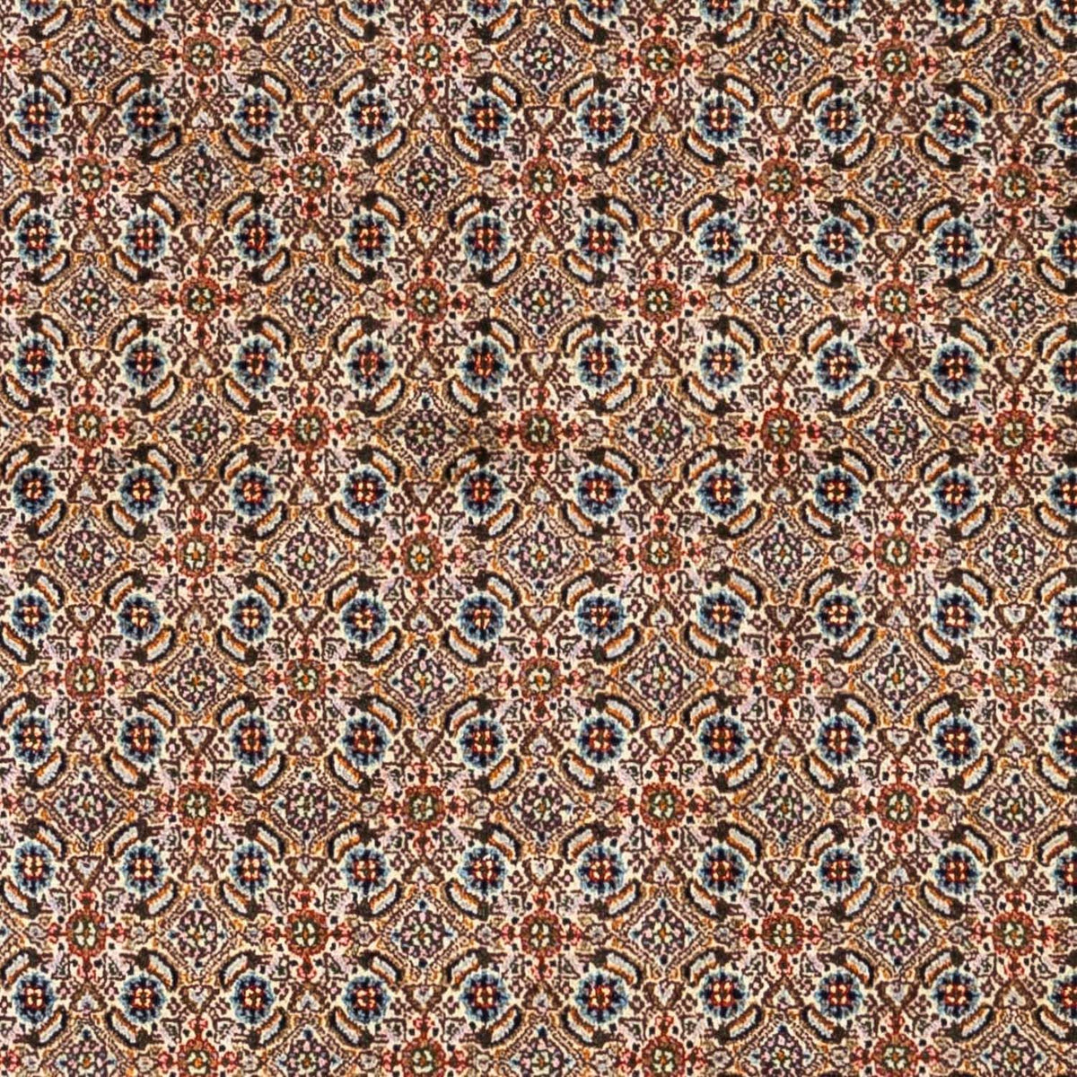 Persisk tæppe - Classic - 235 x 168 cm - beige