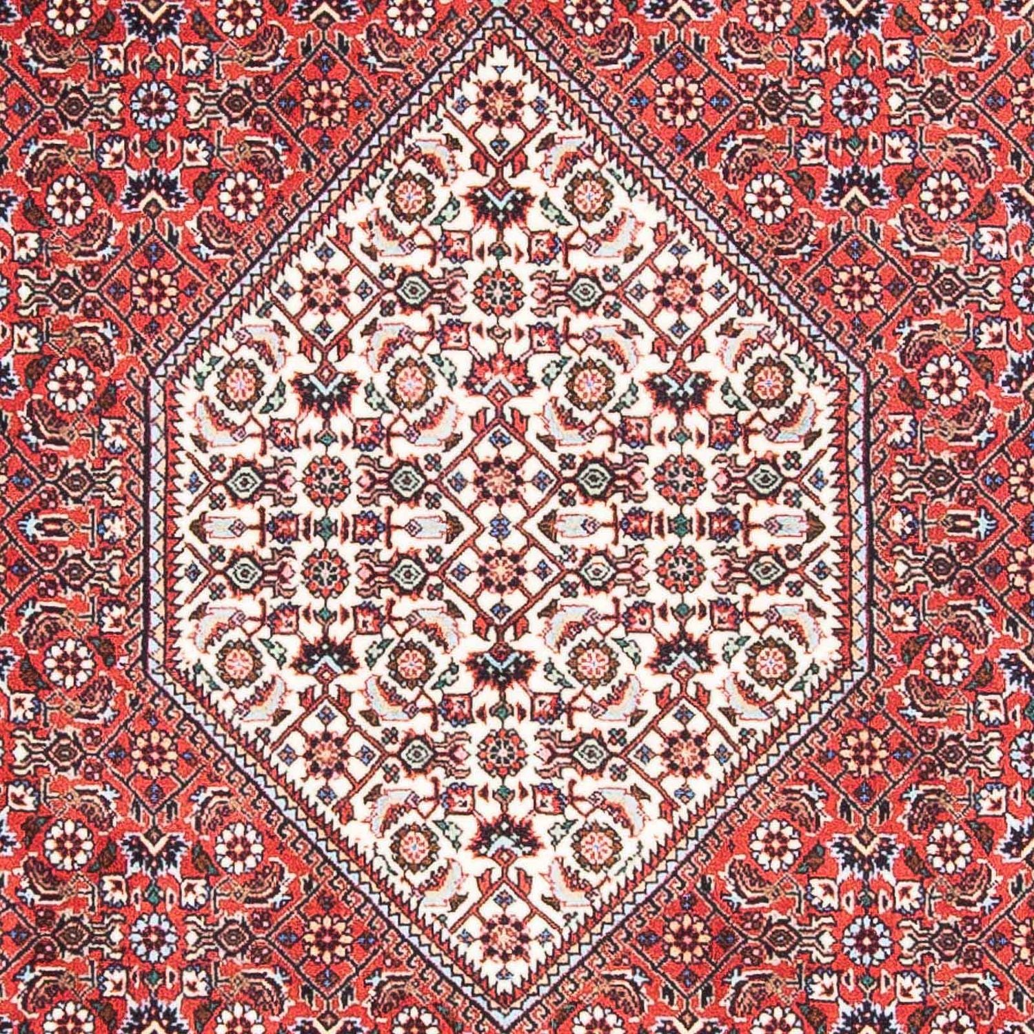 Persisk tæppe - Bijar - 168 x 107 cm - rød