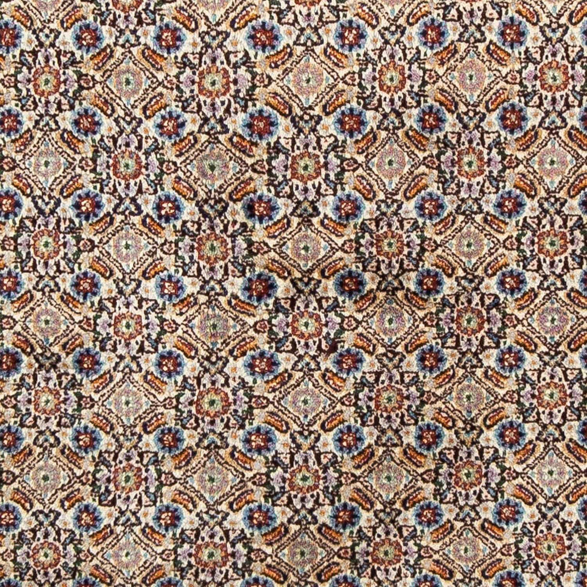 Persisk tæppe - Classic - 246 x 168 cm - beige