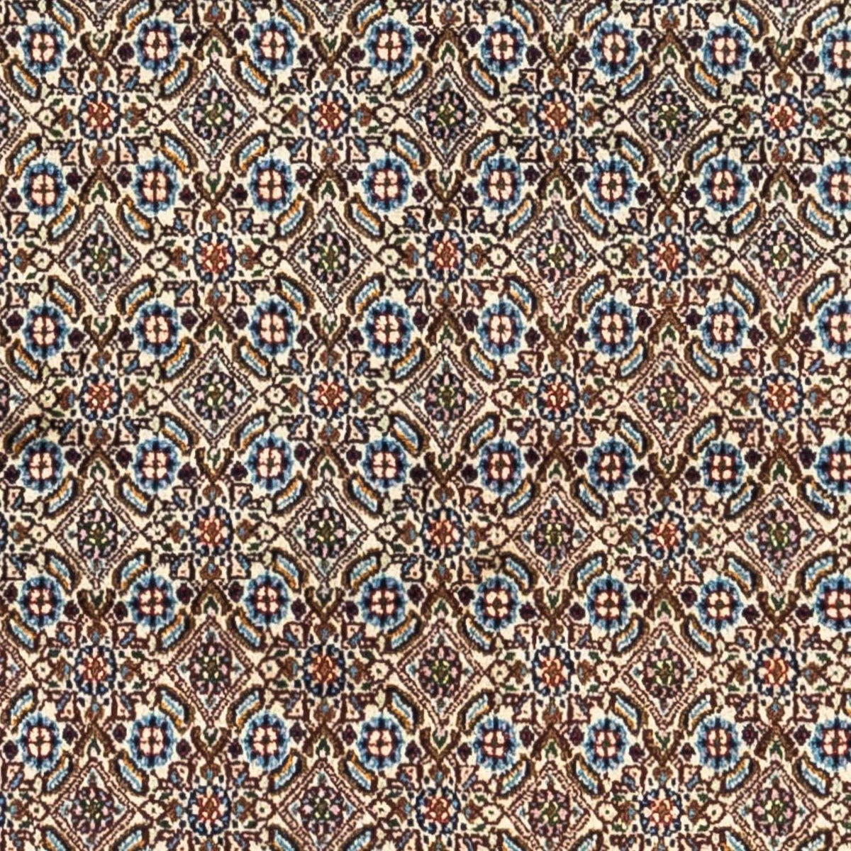 Persisk tæppe - Classic - 242 x 155 cm - beige