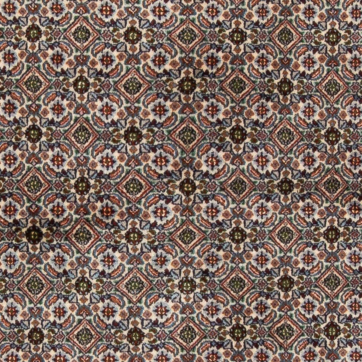 Persisk tæppe - Classic - 232 x 176 cm - flerfarvet