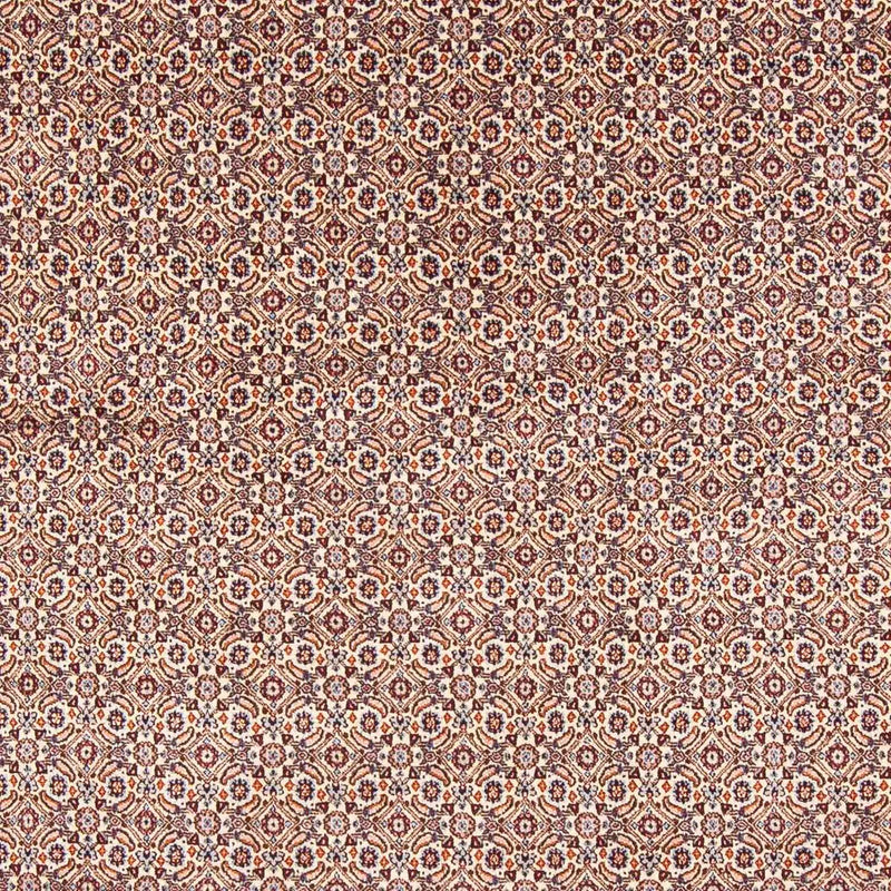 Persisk tæppe - Classic - 244 x 196 cm - beige