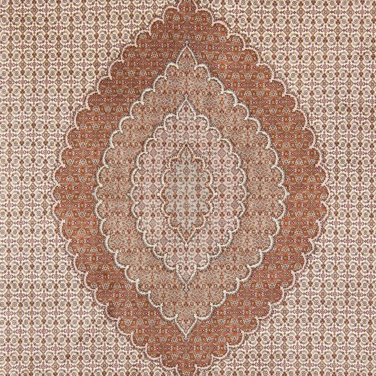 Persisk tæppe - Tabriz - 363 x 250 cm - lys brun