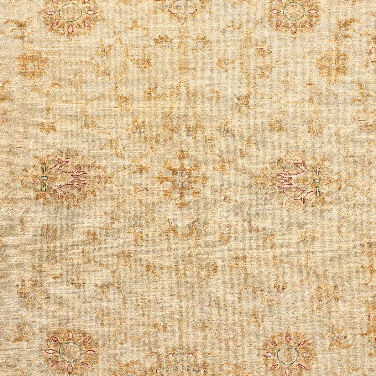 Ziegler Carpet - 236 x 175 cm - lys brun
